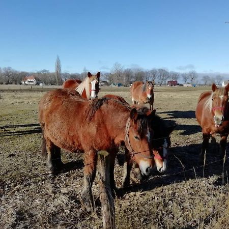 Domek Letniskowy Szuwarek Villa Swinoujscie Luaran gambar